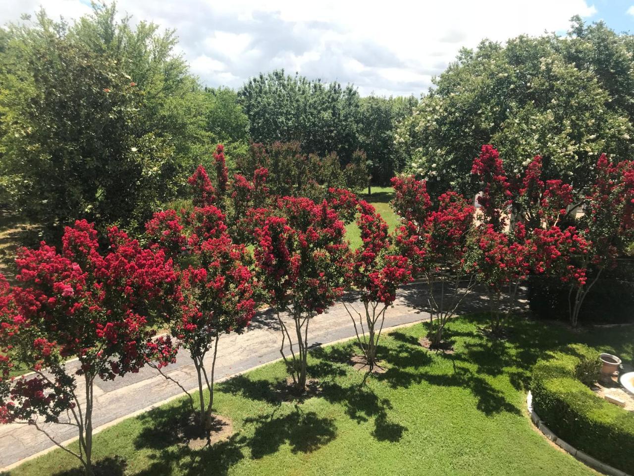 פלוגרוויל The Plantation House Boutique Inn מראה חיצוני תמונה